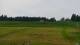 Zieleniec 09.06.2025 12:10
