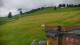 Zieleniec 09.06.2025 12:10