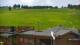 Zieleniec 14.06.2025 12:10