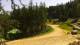 Karpacz 15.06.2025 12:10