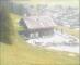 Lech 09.06.2025 12:11