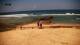 Aljezur 09.05.2025 12:21
