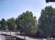 Julianadorp 15.06.2025 12:11