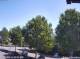 Julianadorp 10.05.2025 12:11