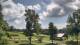 Davidsonville, Maryland 11.07.2025 12:32