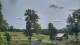 Davidsonville, Maryland 20.05.2025 12:32