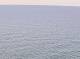 AIDAbella 14.03.2025 12:12