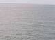 AIDAbella 18.06.2025 12:11