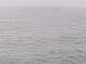 AIDAbella 24.06.2025 12:11