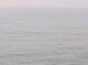 AIDAbella 08.07.2025 12:11