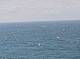AIDAmar 24.06.2025 12:11