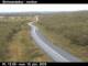 Skinnastaður 15.06.2025 12:12