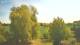 Mandelsloh 30.04.2025 12:12