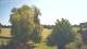 Mandelsloh 11.06.2025 12:12