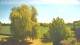 Mandelsloh 17.04.2025 12:12
