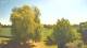 Mandelsloh 11.05.2025 12:12