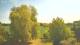 Mandelsloh 29.04.2025 12:12