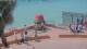 Key West, Florida 29.04.2025 12:13
