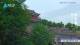 Wuzhen 14.07.2025 12:05