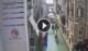 Venedig 09.05.2025 12:13