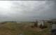Iona 08.05.2025 12:28