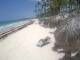 Punta Cana 14.05.2025 12:13