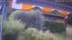 Bad Harzburg 14.07.2025 12:49