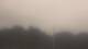 Wayland, Massachusetts 10.07.2025 12:34