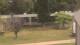 Cold Spring Harbor, New York 15.07.2025 12:34