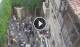 Verona 06.07.2025 12:16