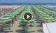 Gatteo a Mare 09.06.2025 12:16