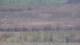 Les Landes-Genusson 15.06.2025 12:16