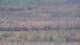 Les Landes-Genusson 09.06.2025 12:16