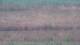 Les Landes-Genusson 05.07.2025 12:16