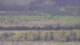 Les Landes-Genusson 08.05.2025 12:16