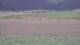 Les Landes-Genusson 15.06.2025 12:16