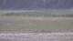 Les Landes-Genusson 17.03.2025 12:17
