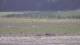 Les Landes-Genusson 08.05.2025 12:16