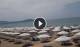 Paestum 12.07.2025 12:16