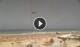 Conil de la Frontera 14.06.2025 12:16