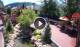 Gatlinburg, Tennessee 03.07.2025 12:17