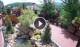 Gatlinburg, Tennessee 29.04.2025 12:18