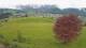 Abtenau 22.04.2025 12:17