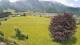Abtenau 08.06.2025 12:17