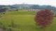 Abtenau 22.03.2025 12:17