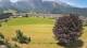 Abtenau 14.06.2025 12:17
