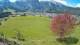 Abtenau 29.04.2025 12:17