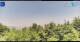 Gorga 09.06.2025 12:18