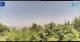 Gorga 09.06.2025 12:18
