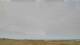 Carinish 29.04.2025 12:18